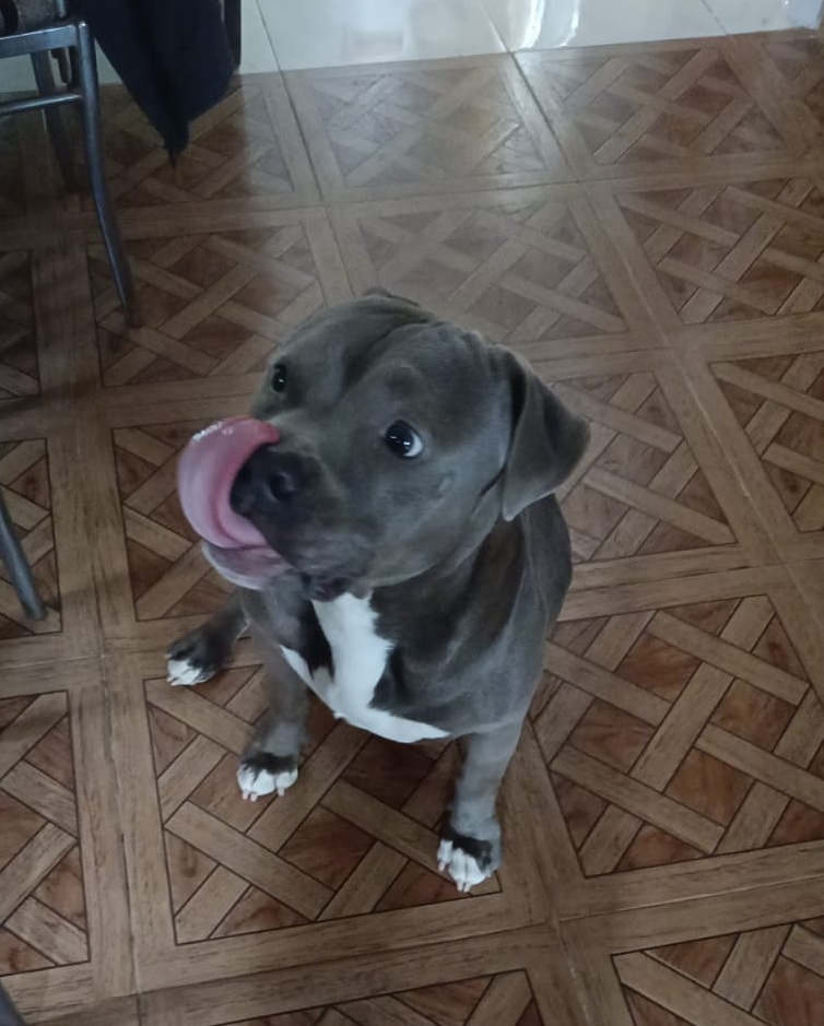 Tank, our head of quality control, mid-inspection